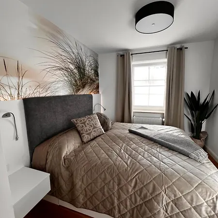 Cosy Dream *