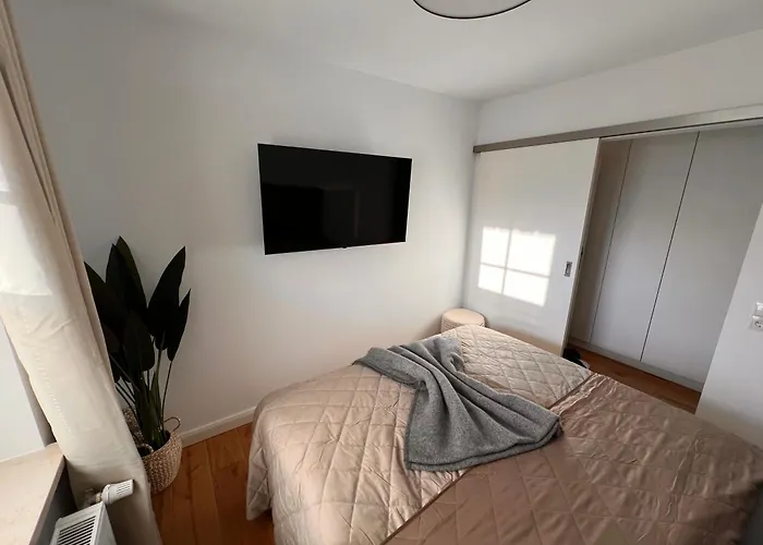 Cosy Dream シャルボイツ